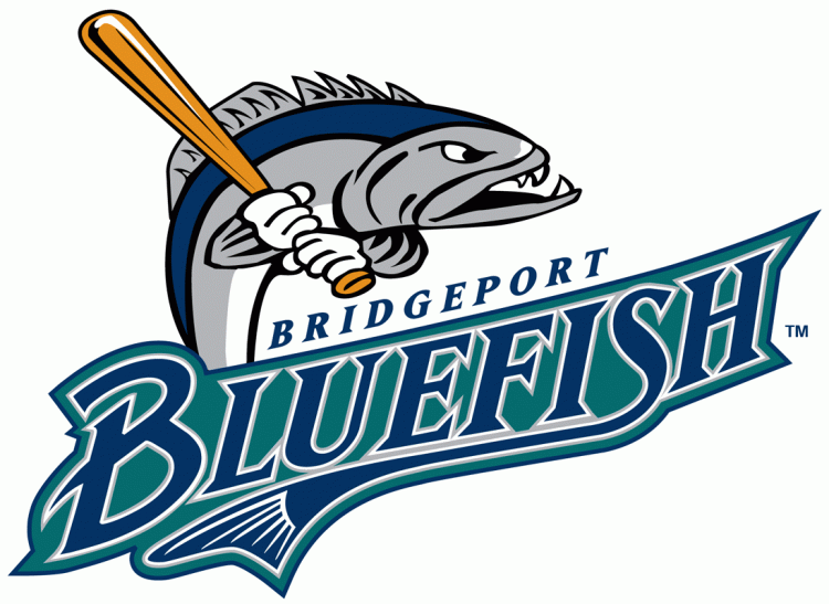 Bridgeport Bluefish iron ons